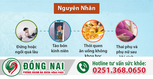 Các nguyên nhân trĩ nội chủ yếu