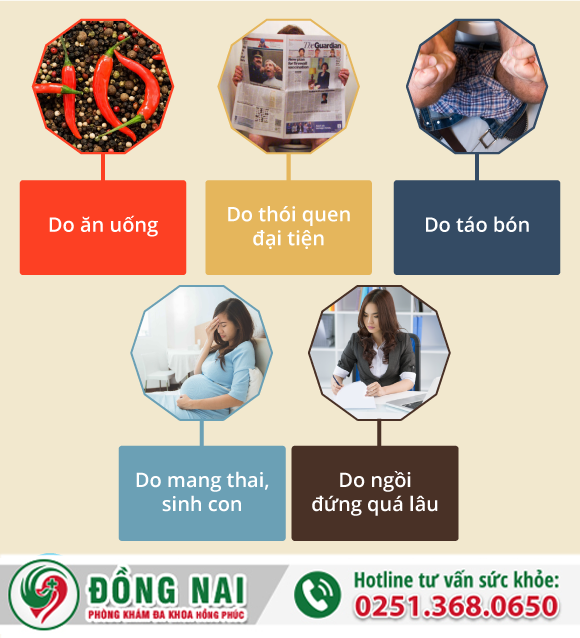 Bệnh trĩ hỗn hợp xuất phát từ nguyên nhân nào?