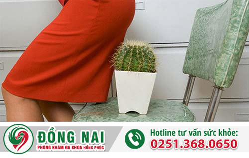 Lòi dom là bệnh gì?