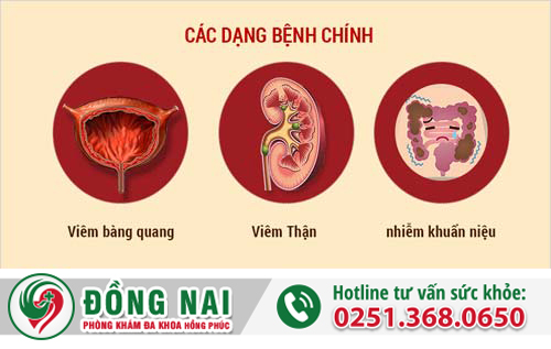 Phòng Khám Đa Khoa Hồng Phúc