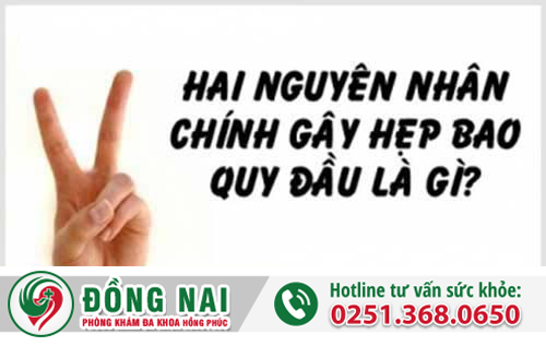 Hai nguyên nhân chính gây hẹp bao quy đầu ở nam giới?