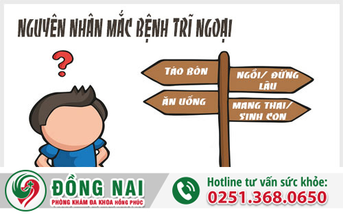 Nguyên nhân mắc bệnh trĩ ngoại do đâu